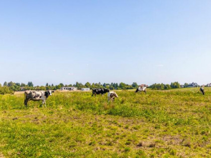 Działka budowlana Uniszowice gm. Konopnica,