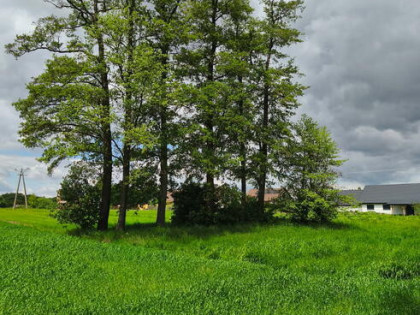 Działka rolno-budowlana Dziekaństwo gm. Komprachcice, Rzeczna