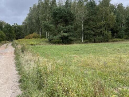 Działka inwestycyjna 7000 m² Sieraków k. Radzymina