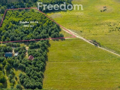 Działka siedliskowa pod lasem Dobrzyń