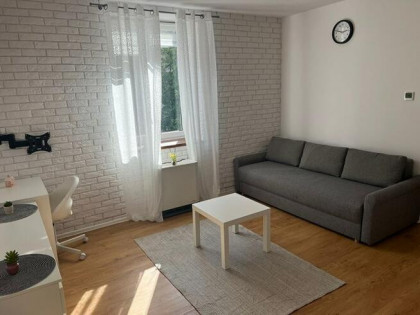 Komfortowa kawalerka pet friendly, Koszelew 19