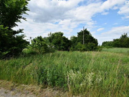 Działka rolno-budowlana Przypisówka  gm. Firlej