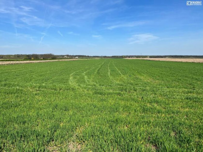 Działka budowlana Charlęż gm. Spiczyn