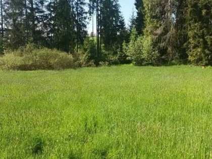 Działki rolne Pieniążkowice