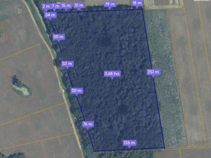 Działka leśna Bzite gm. Krasnystaw