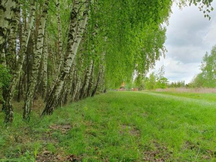 Działka rolno-budowlana Majdan Zahorodyński gm. Siedliszcze
