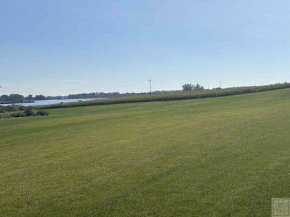 Działka budowlana Piersko gm. Kaźmierz, Jarzębinowa