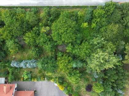 Działka budowlana Tomaszowice-Kolonia gm. Jastków