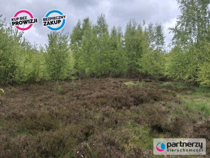 Działka Strzebielino ul. Zagrodowa