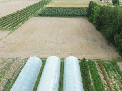 Działka budowlana Maszki gm. Wojciechów