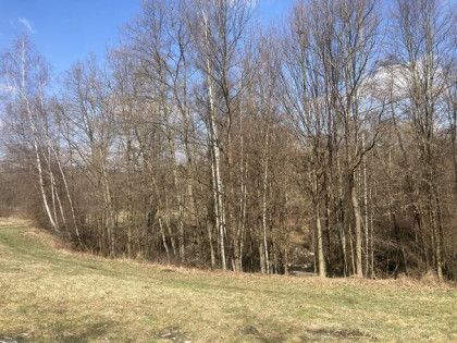 Działka rolna Podstolice gm. Wieliczka