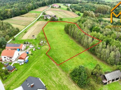 Działka rolna Żurowa gm. Szerzyny