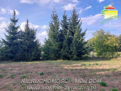 Działka rolno-budowlana Tomaszew gm. Wiskitki