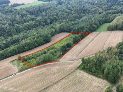 Działka rolna Nowa Wieś gm. Czudec