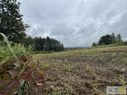 Działka budowlana Tuchów, Juliusza Słowackiego