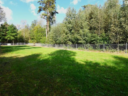 Działka leśna Tyśmienica gm. Parczew