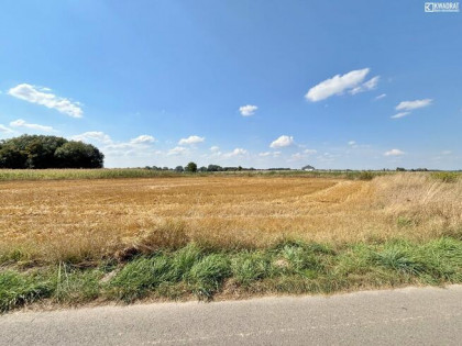 Działka rolna Radawiec Mały gm. Konopnica