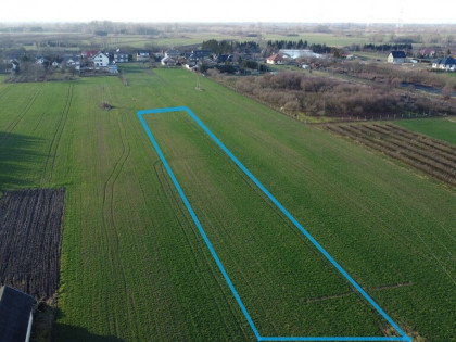 Działka rolno-budowlana 0,31 ha w Gołębiu k/Puław.