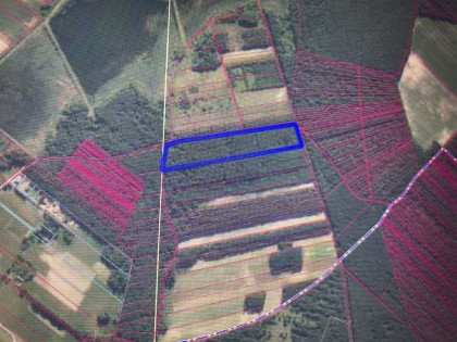 Działka leśna 3,90 ha w Brodach  gm. Pierzchnica.