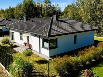 Dom wolnostojący w idealnym stanie, Skubianka!