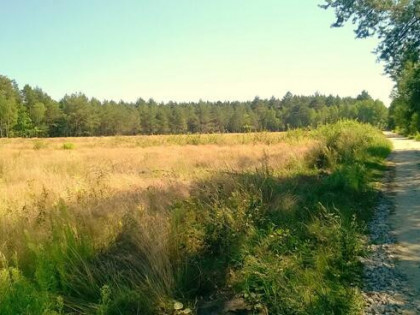 Malowniczo położona działka z pozwoleniem na budowę domu