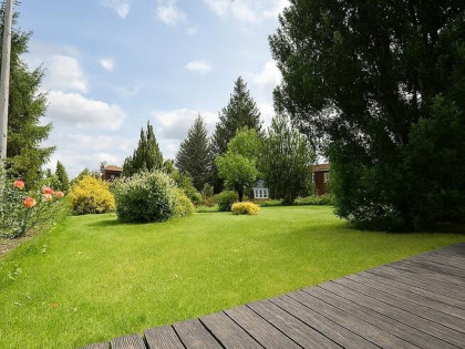 Urokliwa działka ROD – Kajetany - ochrona - media