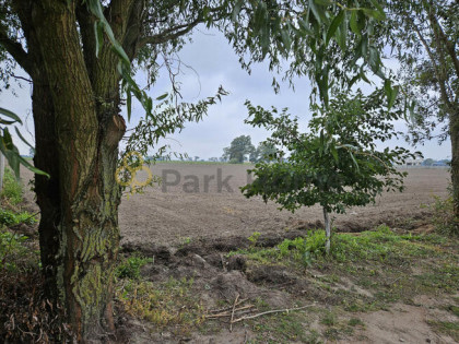 Działka budowlana Kokorzyn gm. Kościan,