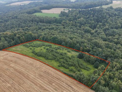 Działka rolna Nowa Wieś gm. Czudec