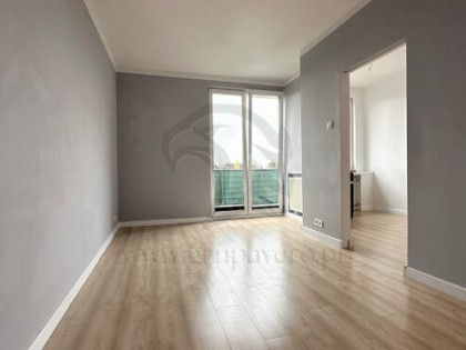 Twoja opowieść w koronach drzew