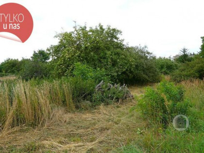 Działka z promesami na media, ul. Sulęcińska