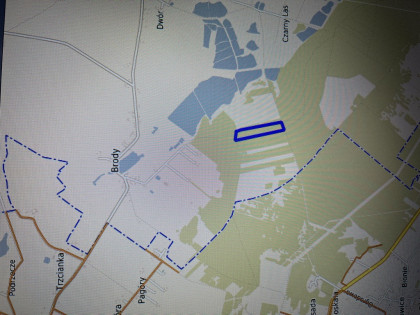 Działka leśna 3,90 ha w Brodach  gm. Pierzchnica.