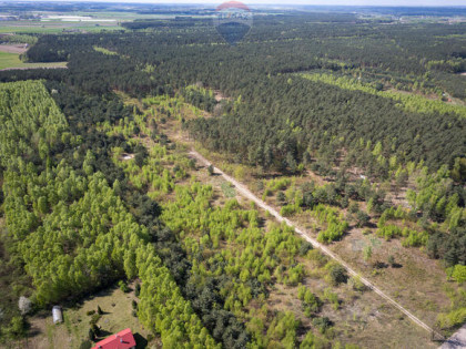 Działki z wydanymi warunkami zabudowy w Ludwikowie