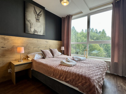 Widokowy apartament w kurorcie Kozubnik