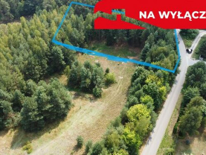 Działka budowla 3117 m2 w Kowali gm. Puławy.