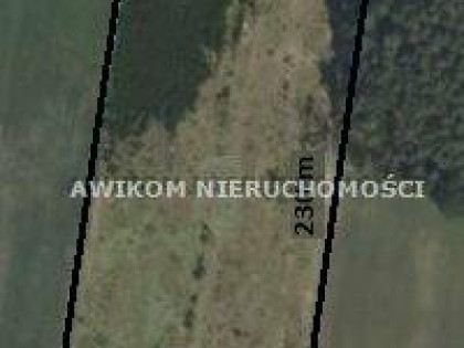 Działka rolna Korabiewice gm. Puszcza Mariańska