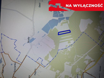 Działka leśna 3,90 ha w Brodach  gm. Pierzchnica.
