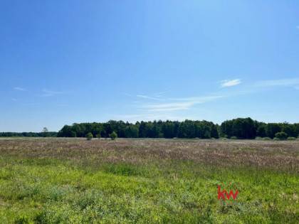 Działka budowlana Suliradzice gm. Krośnice,