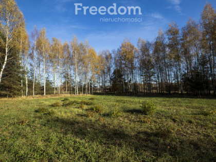 Zielona działka 28,83a w Tarnobrzegu, Ocice