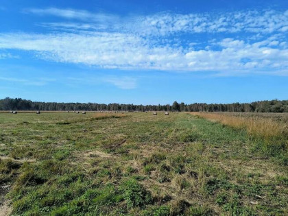 10 dużych działek rekreacyjnych blisko jeziora Roś, Pilchy