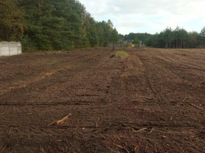 Sprzedam działkę 4300m2, Blok Dobryszyce ul. Zielona