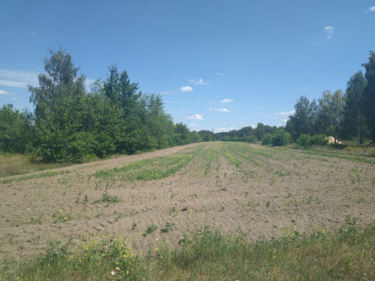 Działka Łódź Stare Polesie ul. Stare Złotno