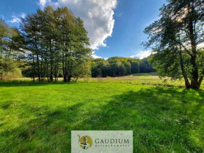 Enklawa pośród pól - 1ha piękna i ciszy | Kobysewo