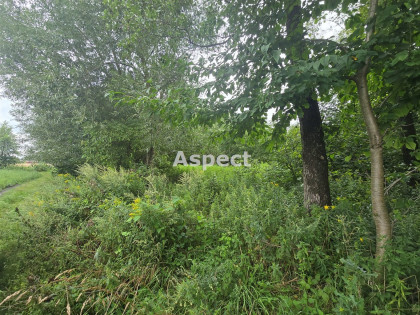 Działka Siecień-Rumunki