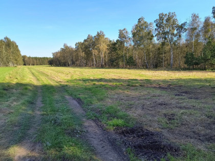 Duża działka rekreacyjna w Pilchach jezioro Roś