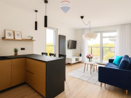 Nowe ładne mieszkanie 3 pokoje Grunwald/Ławica