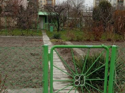 Działka ROD Siarkopol przy ul. Św. Barbary w Tarnobrzegu