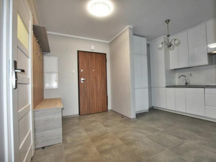 mieszkanie do wynajęcia