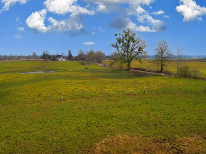 Działka Brejdyny