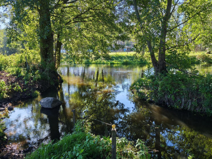 Działka Ostrołęka