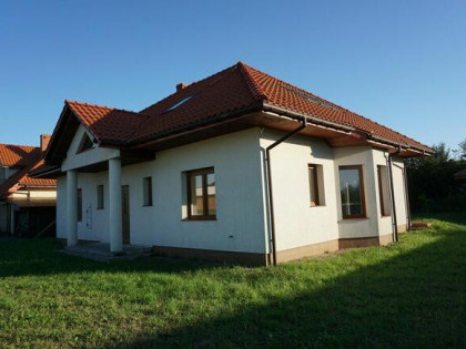 Dom w stanie deweloperskim. Pilchów